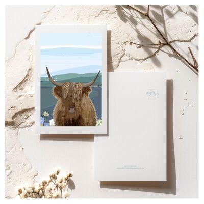 Highland Cattle Customised Postcard