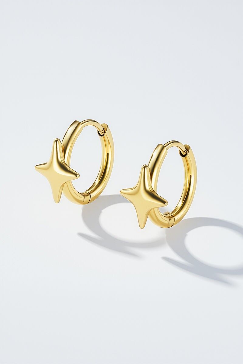 Orecchini in acciaio inossidabile 124RX159