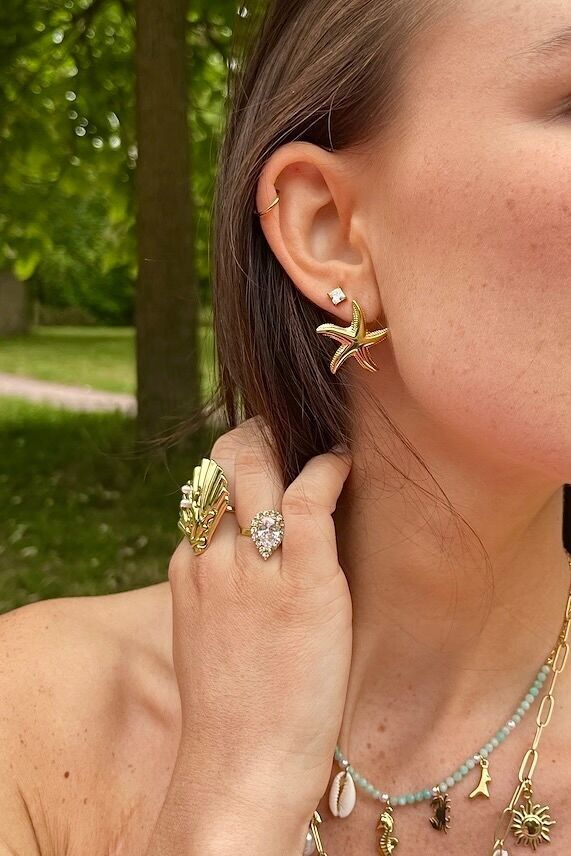 Orecchini in acciaio inossidabile 124AQ414