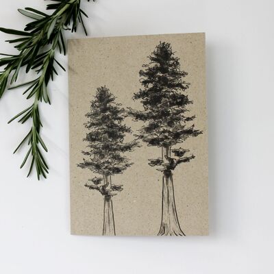 Carte pliante en papier d'herbe, sapin argenté