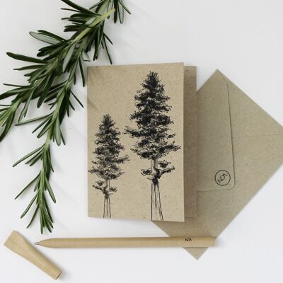 Mini carte en papier herbe, sapin argenté