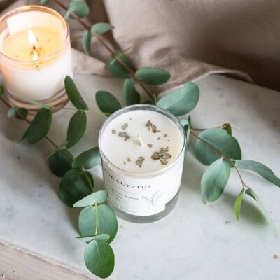 Eucalyptus Bougie parfumée cire végétale - Pro