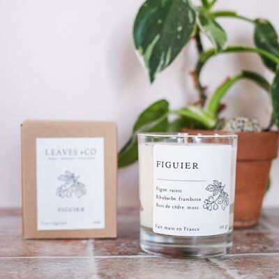 Bougie parfumée artisanale cire végétale - Figuier - Pro