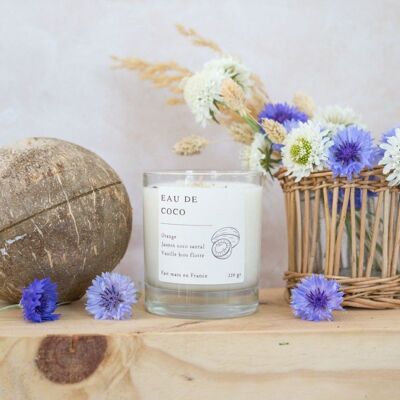 Coconut Water Scented Vegetable Wax Candle - Pro