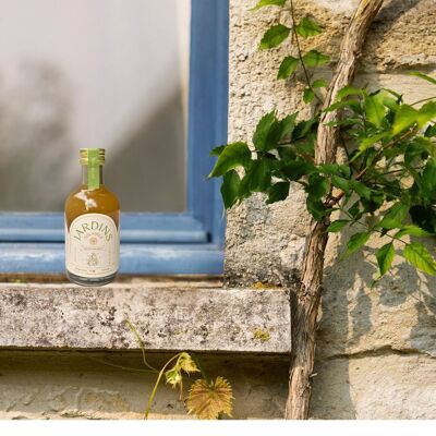 Alcohol-free aperitif Ginger & Apricot - 20 cl - ORGANIC and low in sugar