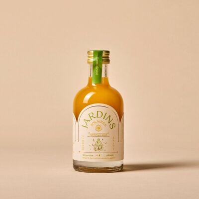 Aperitivo sin alcohol Jengibre y Albaricoque - 20 cl - ORGÁNICO y bajo en azúcar