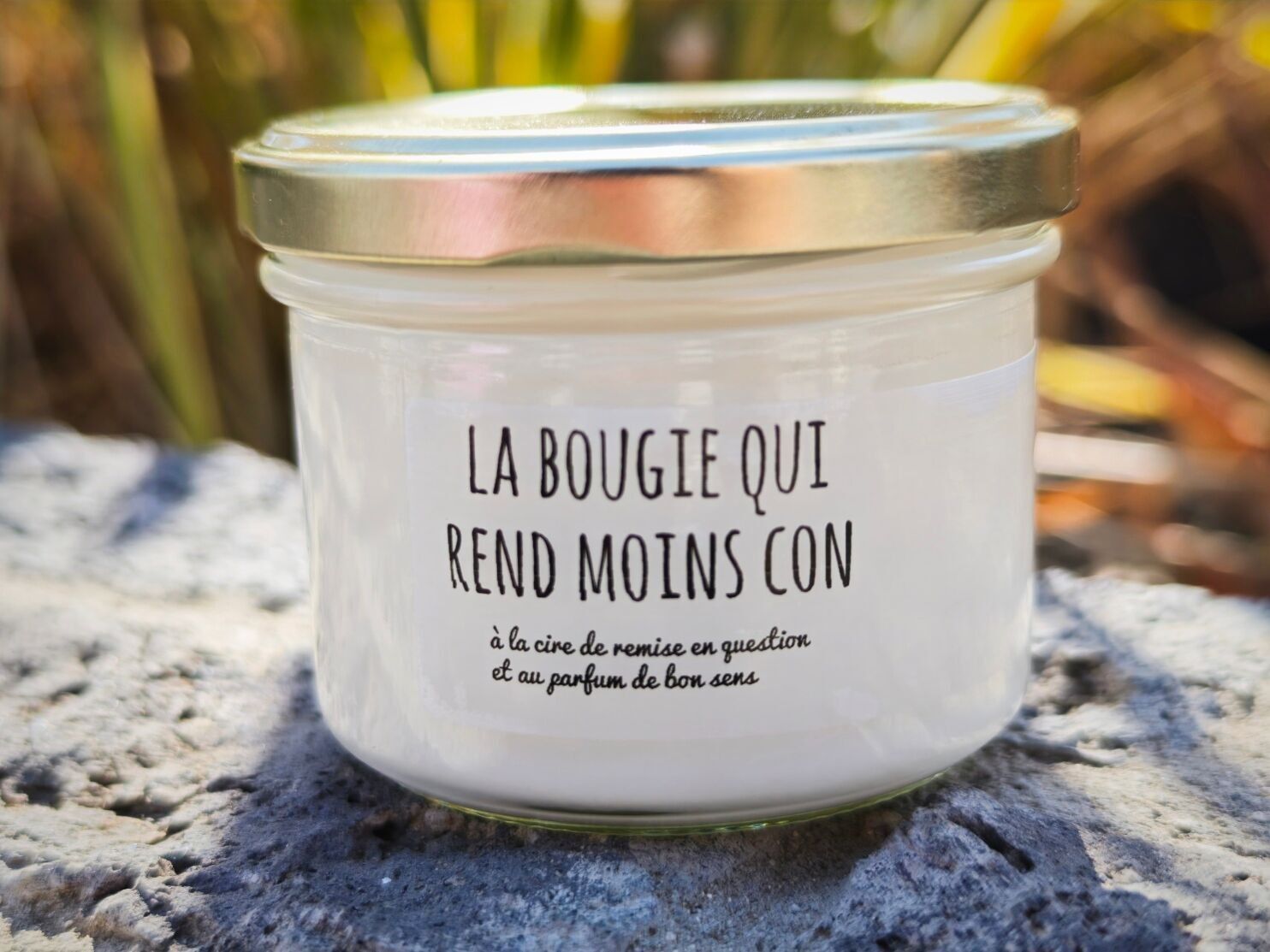 Soy wax scented candle "candle that makes you less stupid"