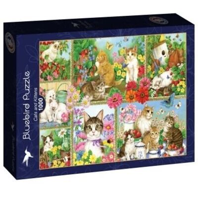 Rompecabezas de 1000 piezas - Gatos y gatitos