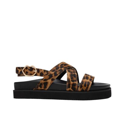 Marguerite-Cuir Leopard