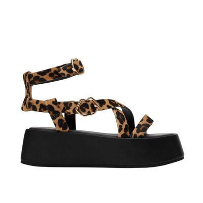 Attilia-Pelle di leopardo