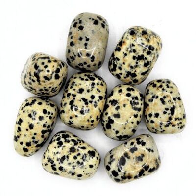 Piedras pulidas de jaspe dálmata 'A' 200 gr