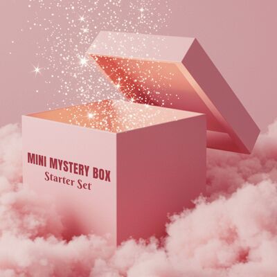 Mini Mystery Box – Starter Selection 🔍