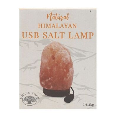 USB Himalaya Zoutlamp Arancione 1kg