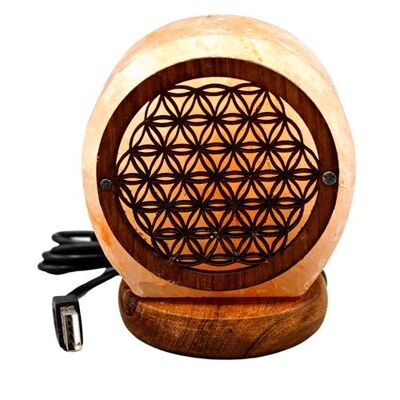 USB Himalayan Salt Lamp Life Flower 1kg