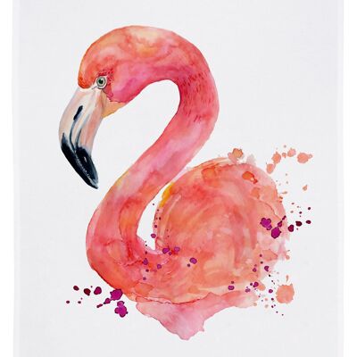 Torchon blanc, FLAMANT ROSE