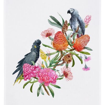 White tea towel, GRAY PARROT AND BLACK COCKATOO