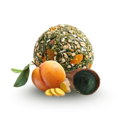 PALLE ENERGETICHE BIOLOGICHE - PROTEINE | ALBICOCCA, ZENZERO E SPIRULINA
