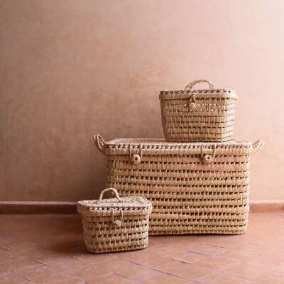 Panier de rangement tissé à la main | Valise
