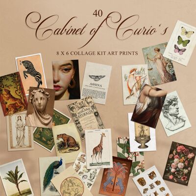 Kit de collage du Cabinet de curiosités