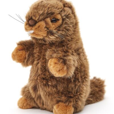 Marmot (without voice), standing - 17 cm (height) - Keywords: forest animal, Alps, mountains, plush, stuffed toy, cuddly toy
