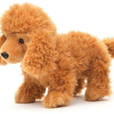 Poodle light brown, standing (without leash) - 30 cm (length) - Keywords: dog, pet, plush, stuffed toy, cuddly toy