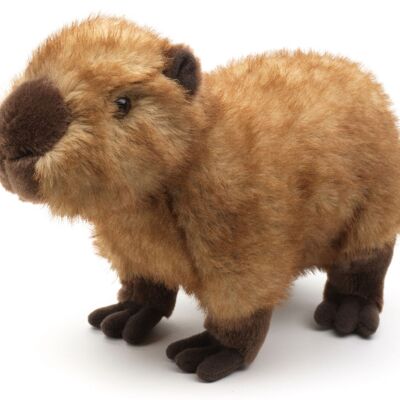 Capybara, standing - 27 cm (length) - Keywords: Exotic wild animal, capybara, guinea pig, plush, soft toy, stuffed toy, cuddly toy