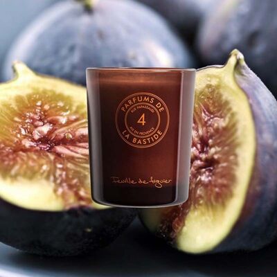 Fig leaf - Scented candle