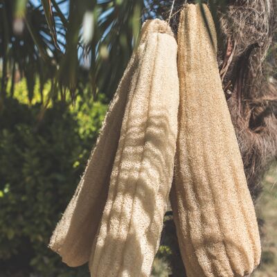 Luffa (spugna vegetale per fare scrub corpo)