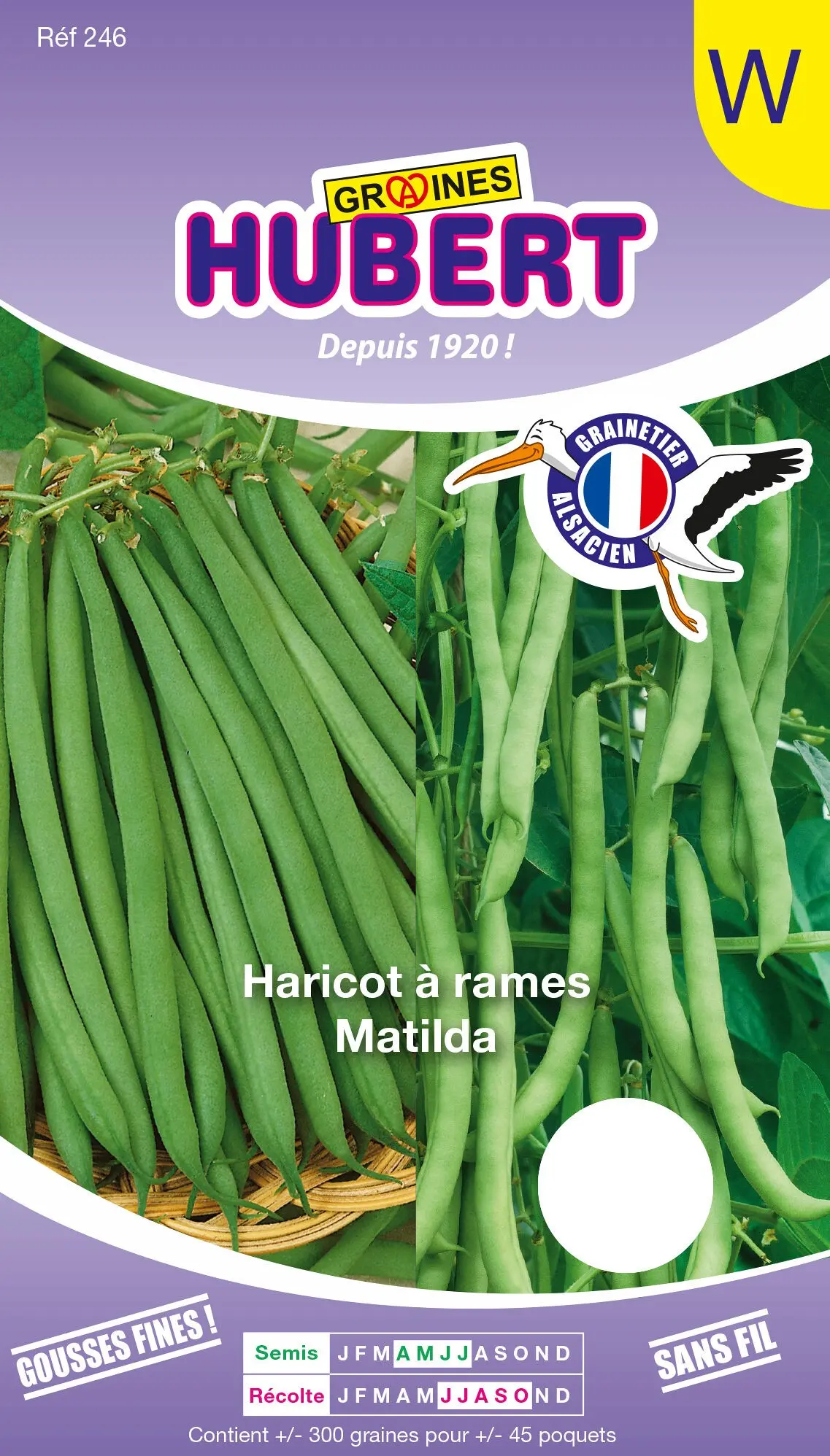Achat Graines de Haricot à Rames Mangetout Extra-fin Matilda - Boite de ...
