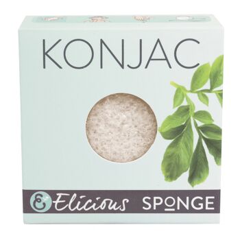 Eponge visage naturelle Konjac Pure - tous types de peaux 3