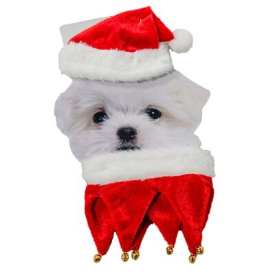 Cappello per animali domestici con corpo natalizio.Colore: Rosso DMAJ0733