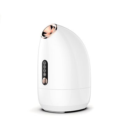 Z16 Facial Steamer (Hot and Cold Spray) 200ml.Possibility of aromatherapy function.Color: White/Gold