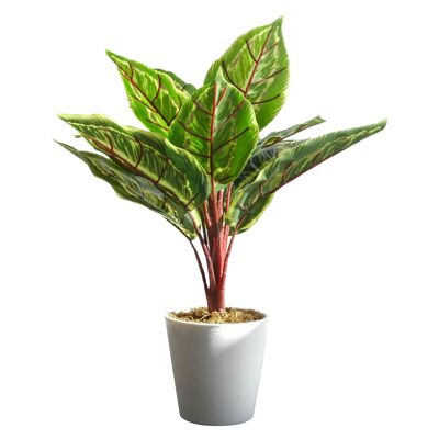 Calathea Veitchiane artificiale in vaso da 38 cm
