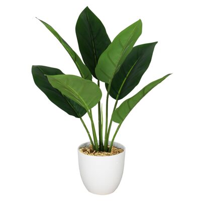 Pianta artificiale Aureum da 45 cm