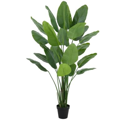 200cm Traveller Palm Artificial Tree Realistic