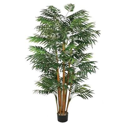 Bambou naturel ignifuge de 200 cm