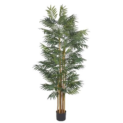 Tronco naturale di palma Phoenix ignifuga da 210 cm