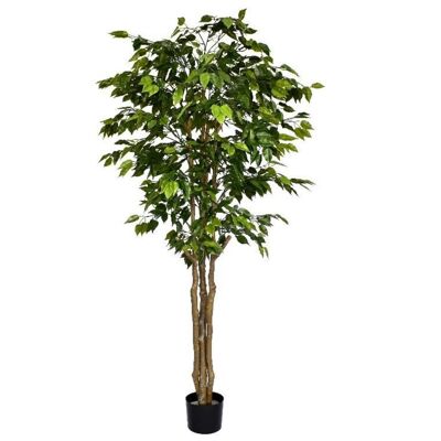 Ficus Retusa Deluxe ignifuge de 180 cm avec 1 134 feuilles