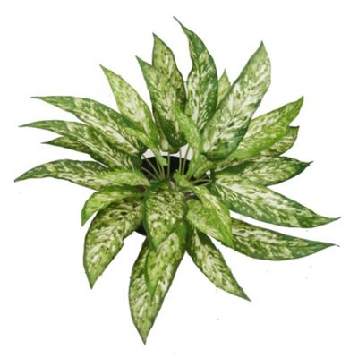 Buisson d'Aglaonema artificiel ignifuge de 45 cm