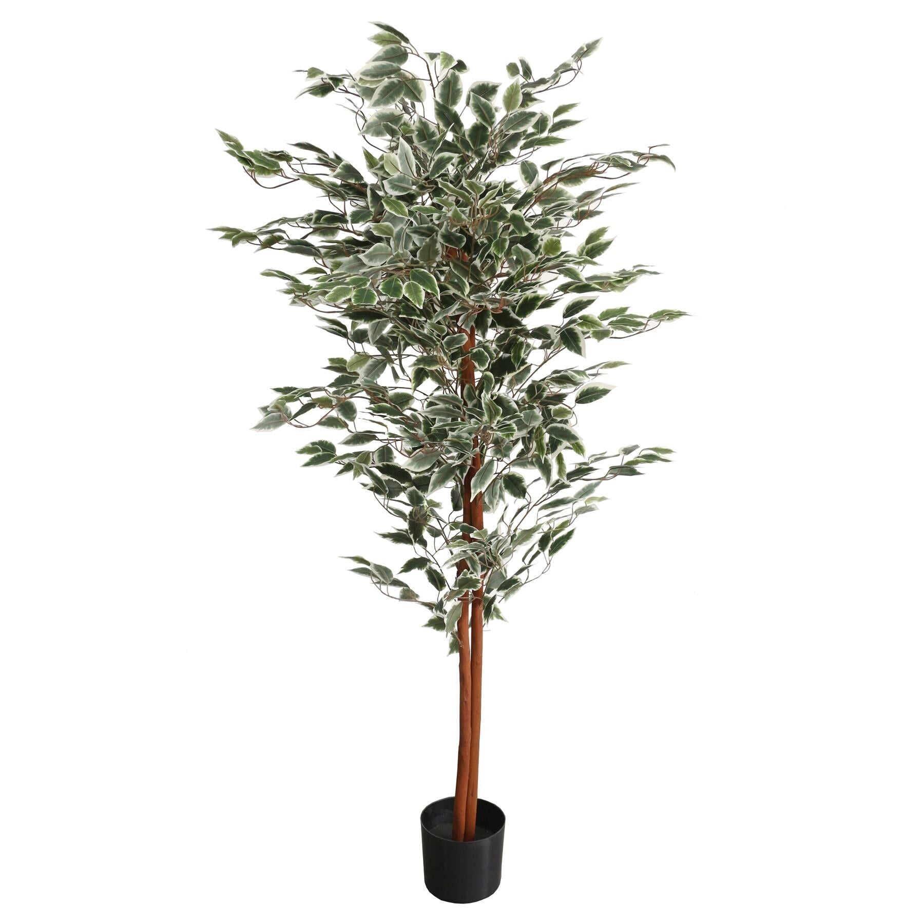 160cm Artificial Ficus with Natural Variegated Leaves