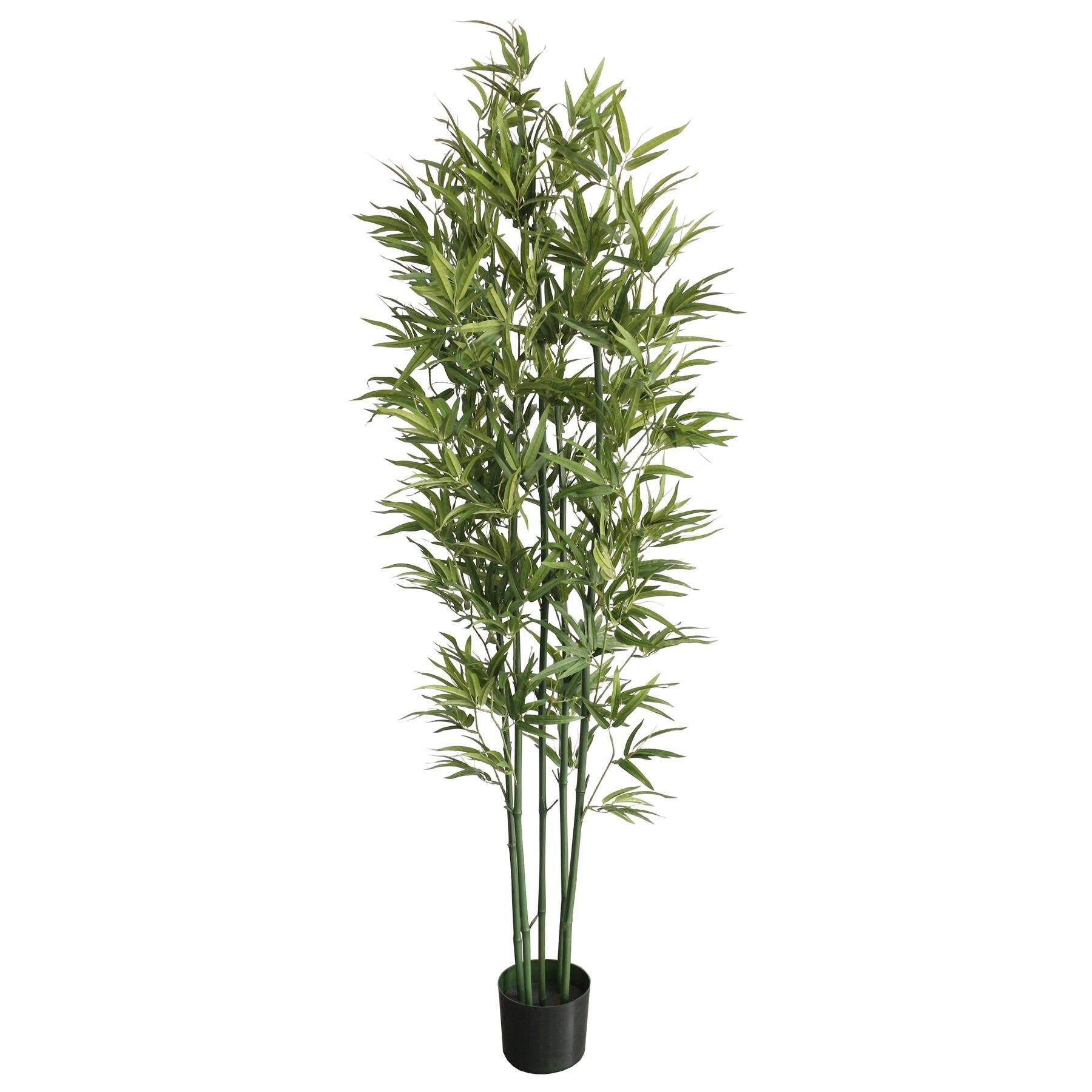 180cm Natural Green Bamboo Artificial