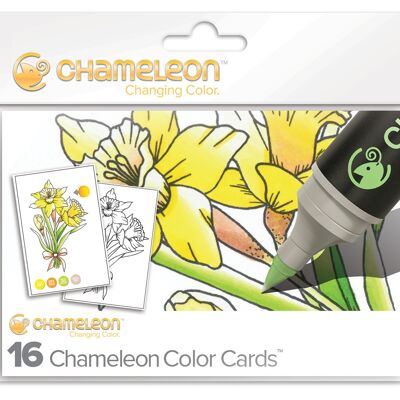 CHAMELEON PENS COLORING CARDS - FLOWERS THEME