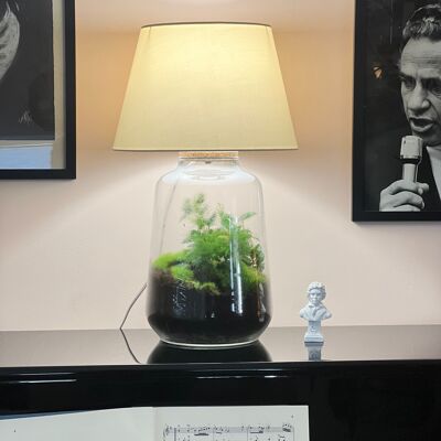 Terrarium Filomena Luce 3
