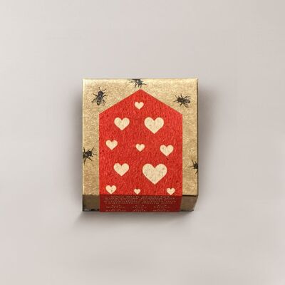 Honey Praline / Honey Praline 1 Special Edition Hearts