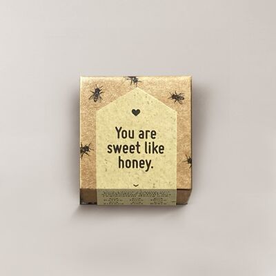 Honey Praline / Honey Praline 1er Special Edition You are sweet like honey