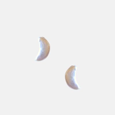 Puces Luna