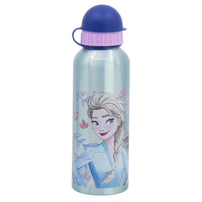 STOR BOTELLA ALUMINIO ALTA 530 ML FROZEN SNOWY TALE