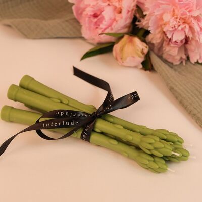 Candele coniche in cera di soia e asparagi
