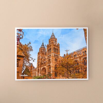 Natural Museum, Angleterre - Carte postale A6 avec enveloppe