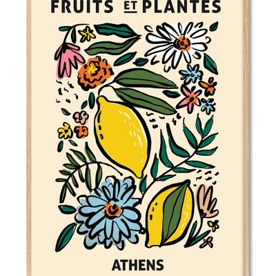 Zoé - Fruits et Plantes - Athènes - 30x40 cm